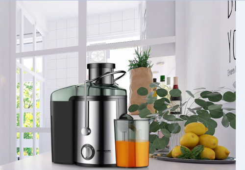 Homeleader Juicer Juice Extractor Wide Mouth Centrifugal Juicer,2 Speed Juicer Machine for Fruits and Vegetable,Stainless Steel,700 Watt